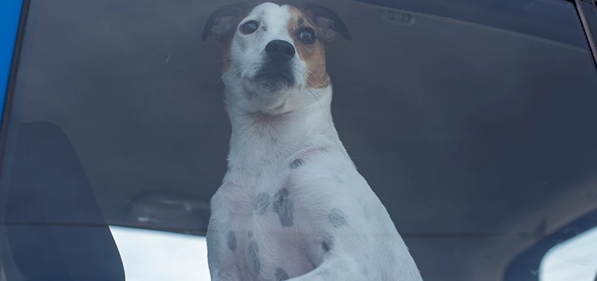 Car Lockout Solutions in San Anselmo, California